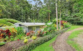 Honeybee House Cottage In The Rainforest